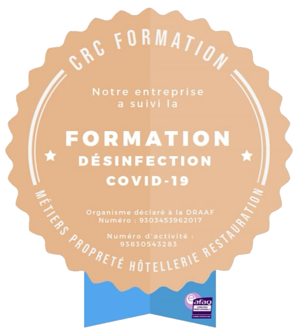 //netexpert24.fr/wp-content/uploads/2020/06/DESINFECTION-formation.png